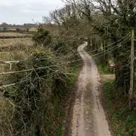Élagage près d'une ligne électrique : qui paie, Enedis ou vous ?