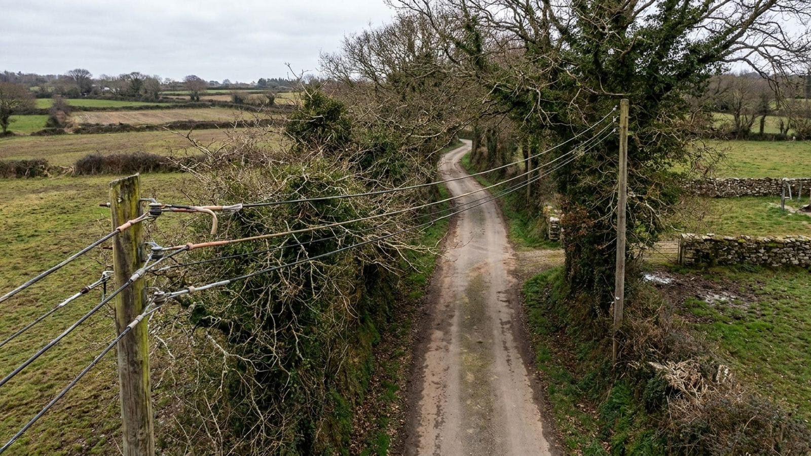 Illustration : une ligne électrique basse tension sur poteaux de bois, longée par des arbres le long d'un chemin de campagne