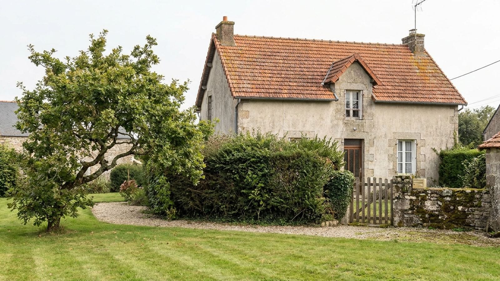 Illustration : une maison de pierre avec sa haie et un arbre fruitier au bord de la pelouse